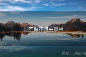 国产探花暗中真相
