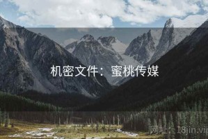 机密文件：蜜桃传媒