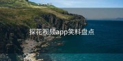 探花视频app笑料盘点