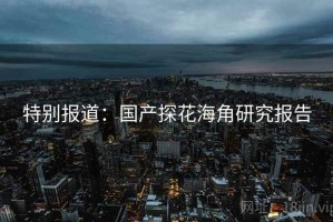 特别报道：国产探花海角研究报告