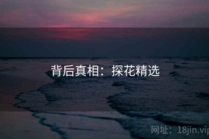背后真相：探花精选