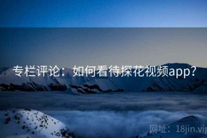 专栏评论：如何看待探花视频app？