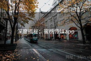 深度揭秘：蜜桃传媒app