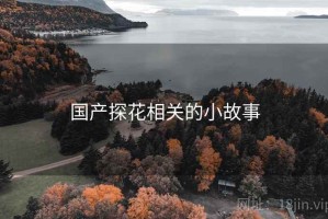 国产探花相关的小故事