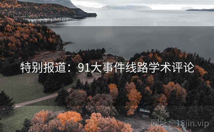 特别报道：91大事件线路学术评论