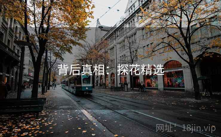 背后真相：探花精选